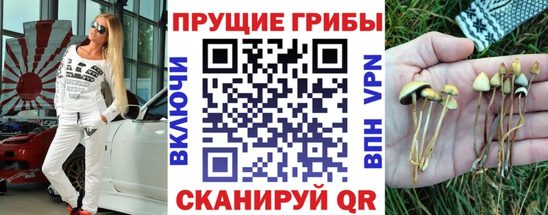 Галлюциногенные грибы Magic Shrooms  Купить где  Сухой Лог 